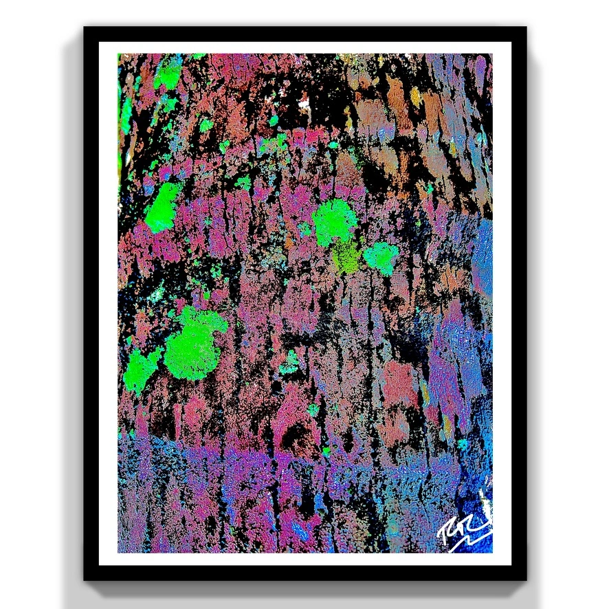 Fluorescent Bark abstract photograph