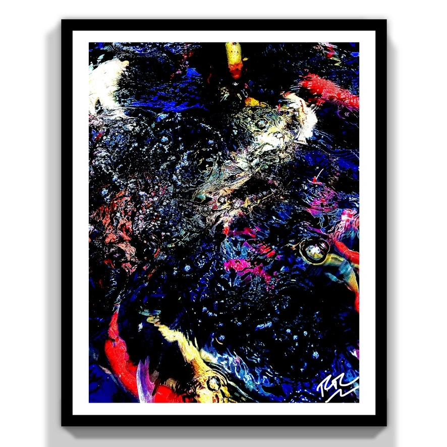 Koi Canvas abstract photograph