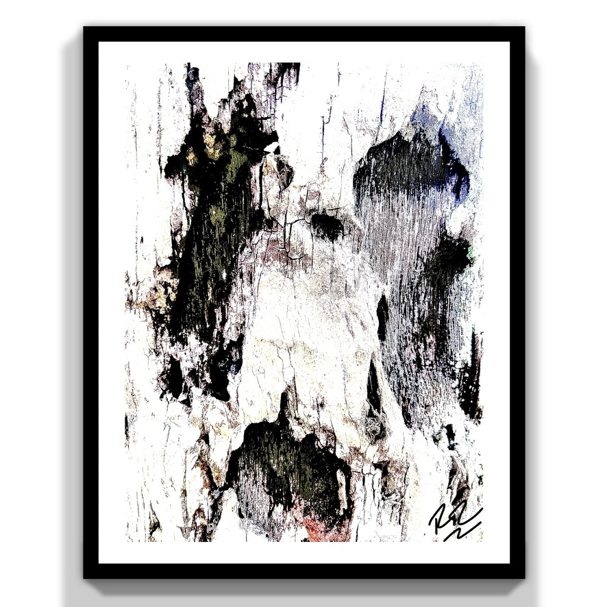Bark Tapestry abstract photograph