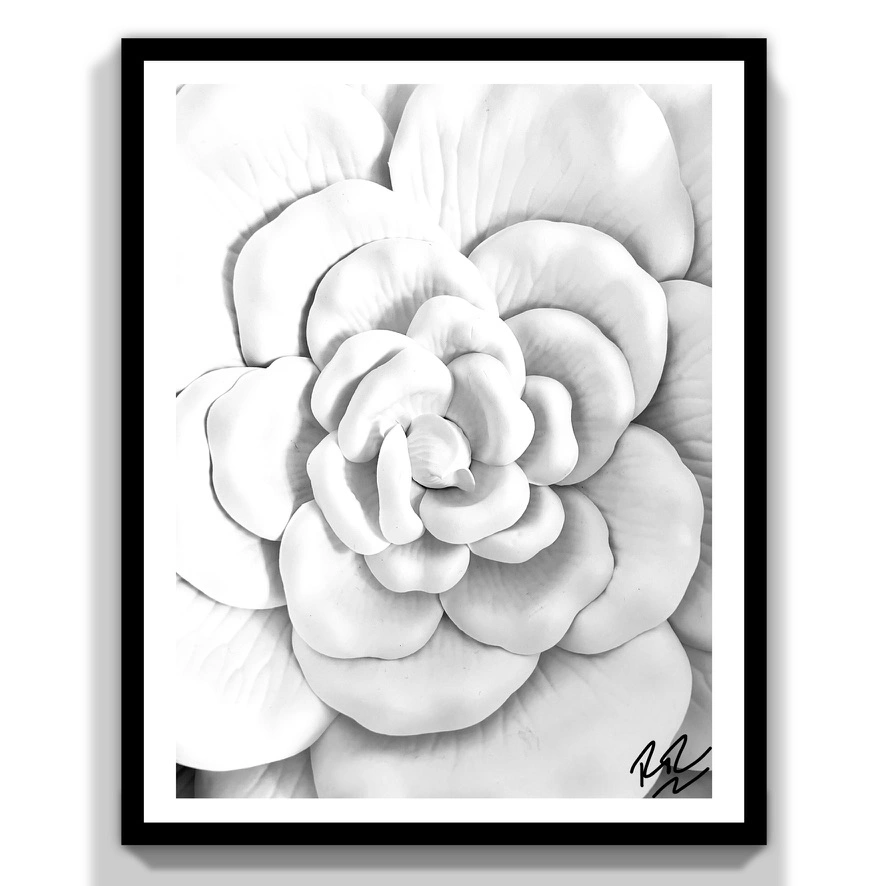 White Faux Bloom abstract photograph