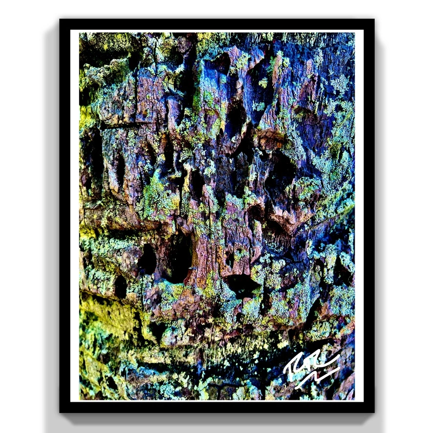 Tropical Moss abstract photograph