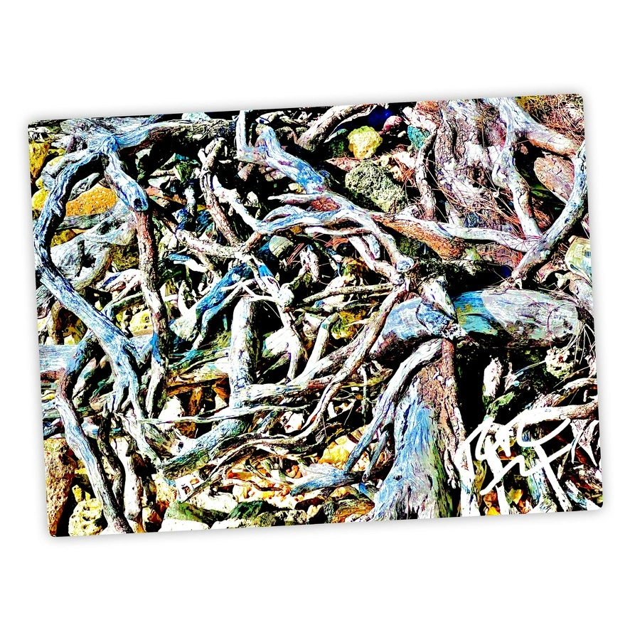 Ocean's Sculpted Remains abstract photograph