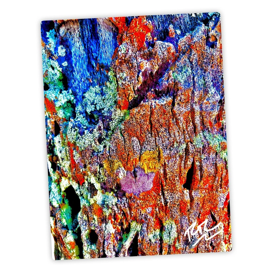 Pacific Wood Canvas abstract photograph