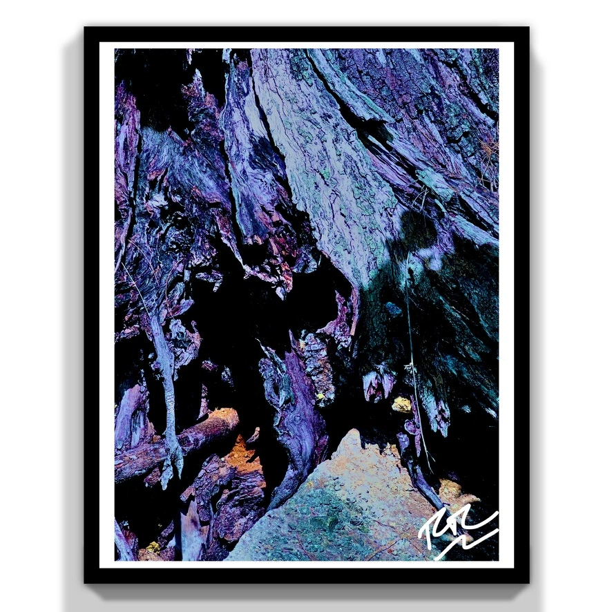 Ocean's Embrace abstract photograph