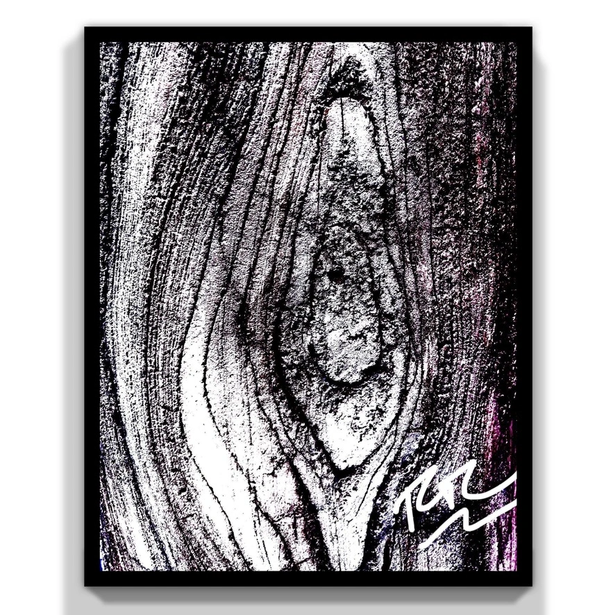 Knotty Vein abstract photograph