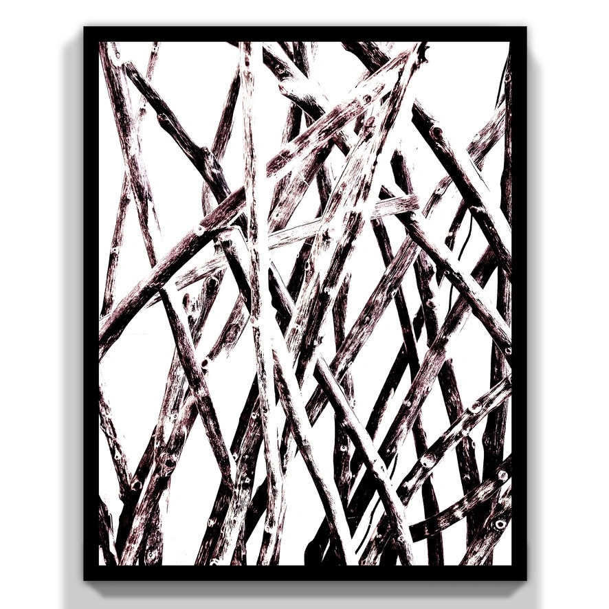 Weave of Wood abstract photograph
