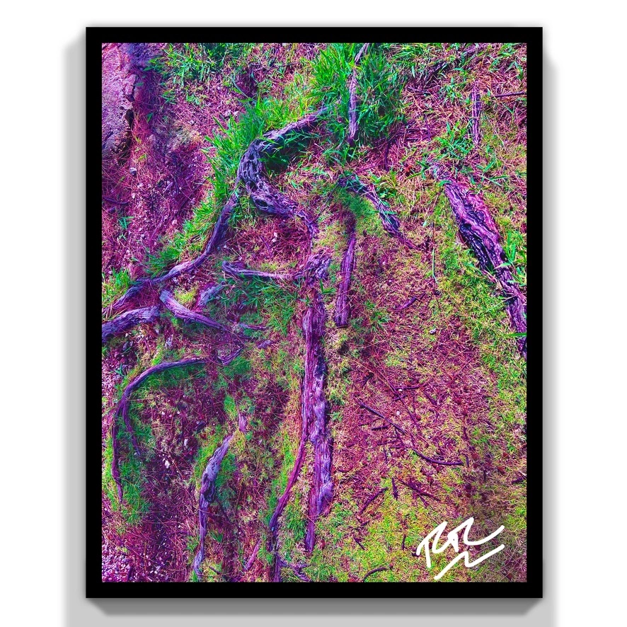 Rooted Embrace abstract photograph